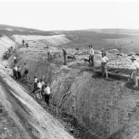 Image: Men digging a deep trench through bare paddocks 