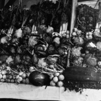 Image: large pile of assorted vegetables on long table