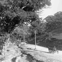 Image: Black and white photo of an early 1900's road through a gorge, a man is travelling on a horse-drawn cart.