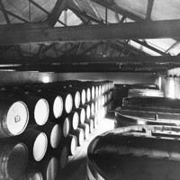 Image: wine barrels in cellar