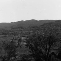 Trees in foreground, hills in background