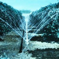Image: Orchard sprinkler