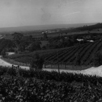 Penfolds winery, Stonyfell, 1920s
