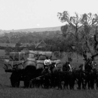 Image: horses pulling a cart of wool bales
