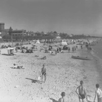 Image: People sunbathing and walking on a beach