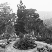Image: A large garden featuring circular plant and flower arrangements, and winding paths