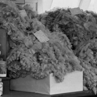 Image: display of wool