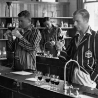 Wine tasting, Roseworthy College, 1937