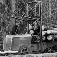 Image: Logging truck