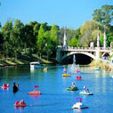 Image: a number of small coloured paddle boats and a larger white motorboat travel down a wide gentle river which passes through parklands and under a stone bridge.