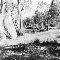 Image: the remains of a campsite surrounded by trees, with a river in the background