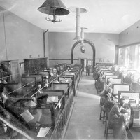 Image: Inside an office. Benches are partitioned into desks and occupied by a number of men.
