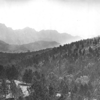 Image: Black and white photograph of sloped woodlands and hills in the background.