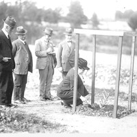 Image: woman crouched down with small spade watched by group of men
