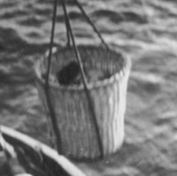 Image: A Caucasian woman is hoisted from a small boat to a jetty in a large wicker basket. The top of the woman’s head and part of a wrapped bundle are just visible in the basket