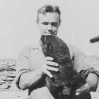 Image: A young clean-shaven Caucasian man in 1940s-era coveralls holds a young live fur seal in his arms. Part of an unidentified automobile is visible immediately behind the man