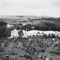 Aerial view of Seppeltsfield winery and vineyard, Barossa District