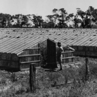 Image: A man stands in front of a row of greenhouses in an open field. A windmill is visible in the distant background
