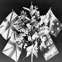 Image: A wattle plant, with two British flags, and two Australian flags flying behind