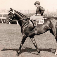 Image: Jockey and his horse at a race track