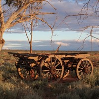 Image: wooden wagon in outback