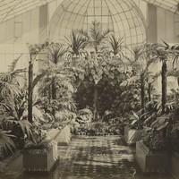 Image: tropical plants in a glasshouse, with stone grotto ornamentation