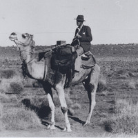 Image: A young Caucasian man rides a camel in the Australian outback. He is dressed in 1930s attire, including a fedora hat