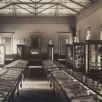 Image: sepia photograph of a museum interior with a large number of wood and glass display cases and marble busts