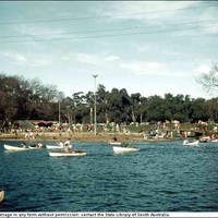 Image: Men and women row boats on an artificial lake set in the middle of a park while a large crowd watches from the shore. 