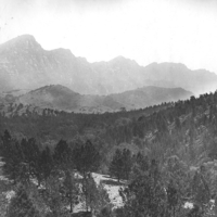 Image: Black and white photograph of sloped woodlands and hills in the background.