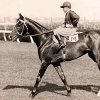 Image: Jockey and his horse at a race track