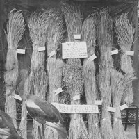 Image: display of bundles of wheat