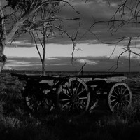 Image: wooden wagon in outback