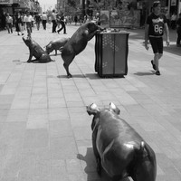Bronze sculpture of pigs A Day Out in Rundle Mall, Adelaide 