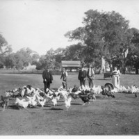 Image: four people with chickens