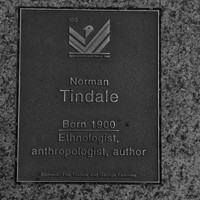 Image: Norman Tindale Plaque 