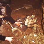 Image: Archaeological excavation, Queen’s Theatre