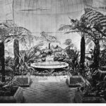 Image: Ferns and fountain in a glasshouse