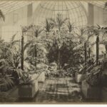 Image: tropical plants in a glasshouse, with stone grotto ornamentation