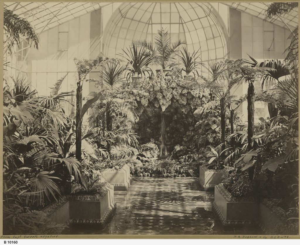 Palm House