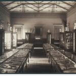 Image: Museum exhibition with wooden cabinets