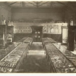 Image: Museum interior with wooden cabinets and marble busts