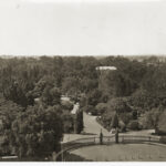 Image: View of a building in the distance, across trees of botanic garden