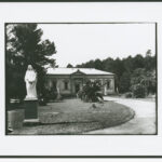 Image: statue of woman in front of tree and Greek Revival building