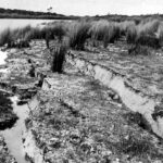 Image: Earthquake damage at Lake Battye