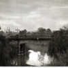 image: bridge over river with trees