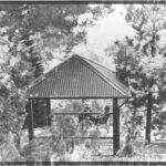 Image: Two men sit under a gazebo-like structure surrounded by trees