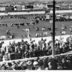 Image: Cows being paraded with large crowd watching