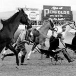 Image: Wheel barrow race with men, women and horses