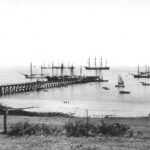 Image: A jetty jutting out into the ocean surrounded by various size sailing ships.